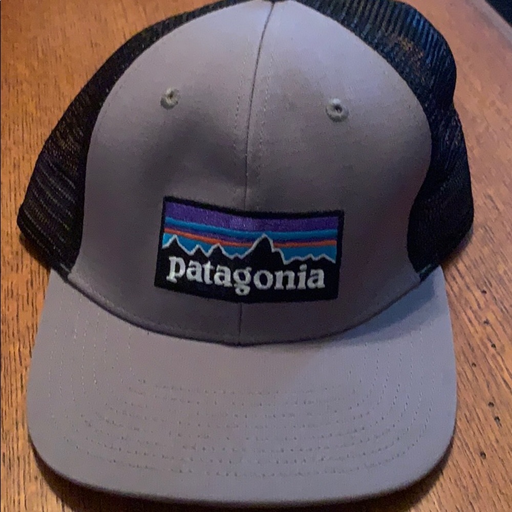 Patagonia trucker hat